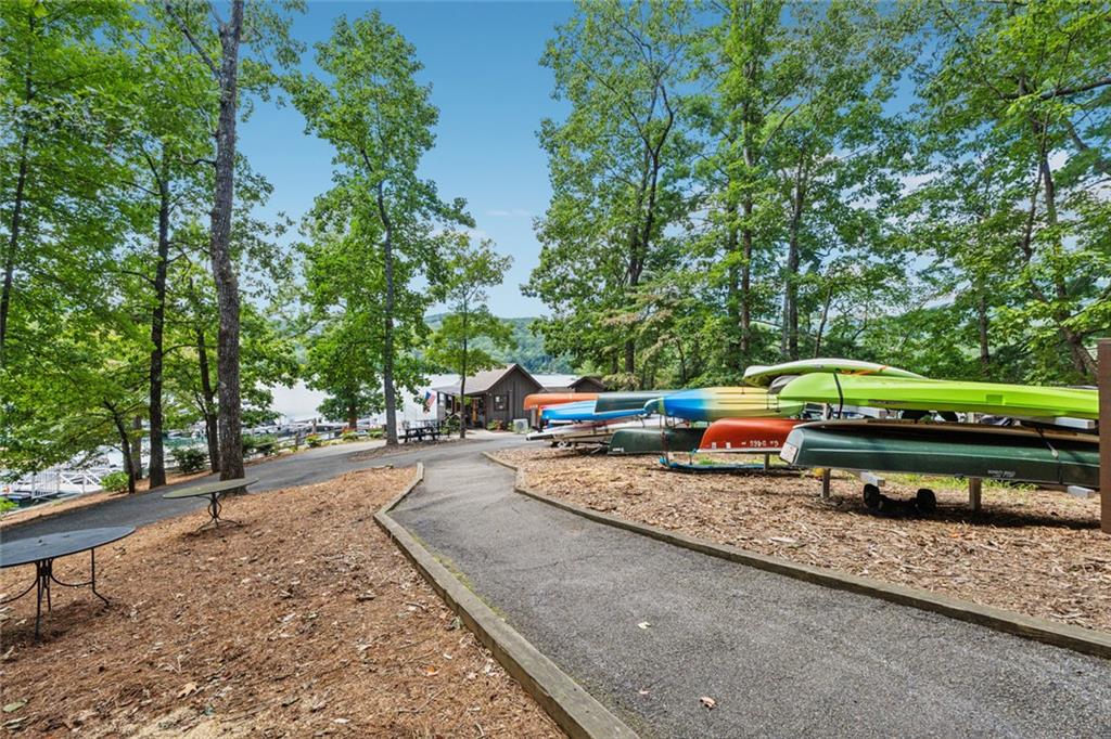 3847 Wilderness