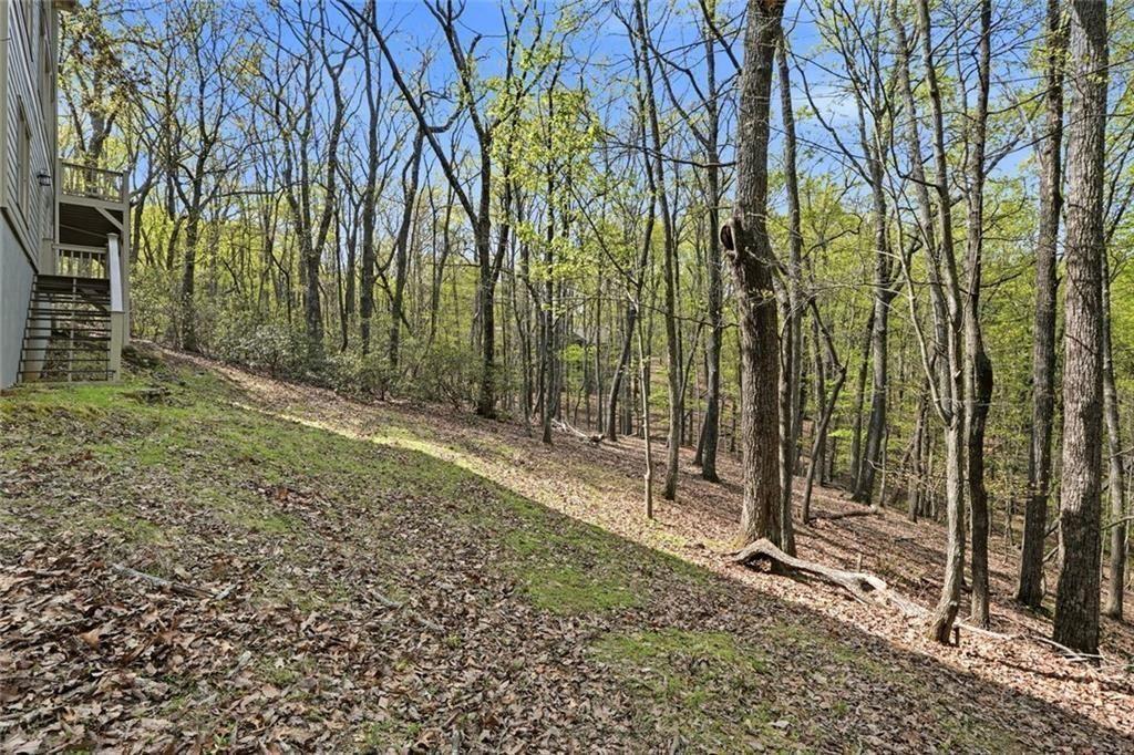 3847 Wilderness