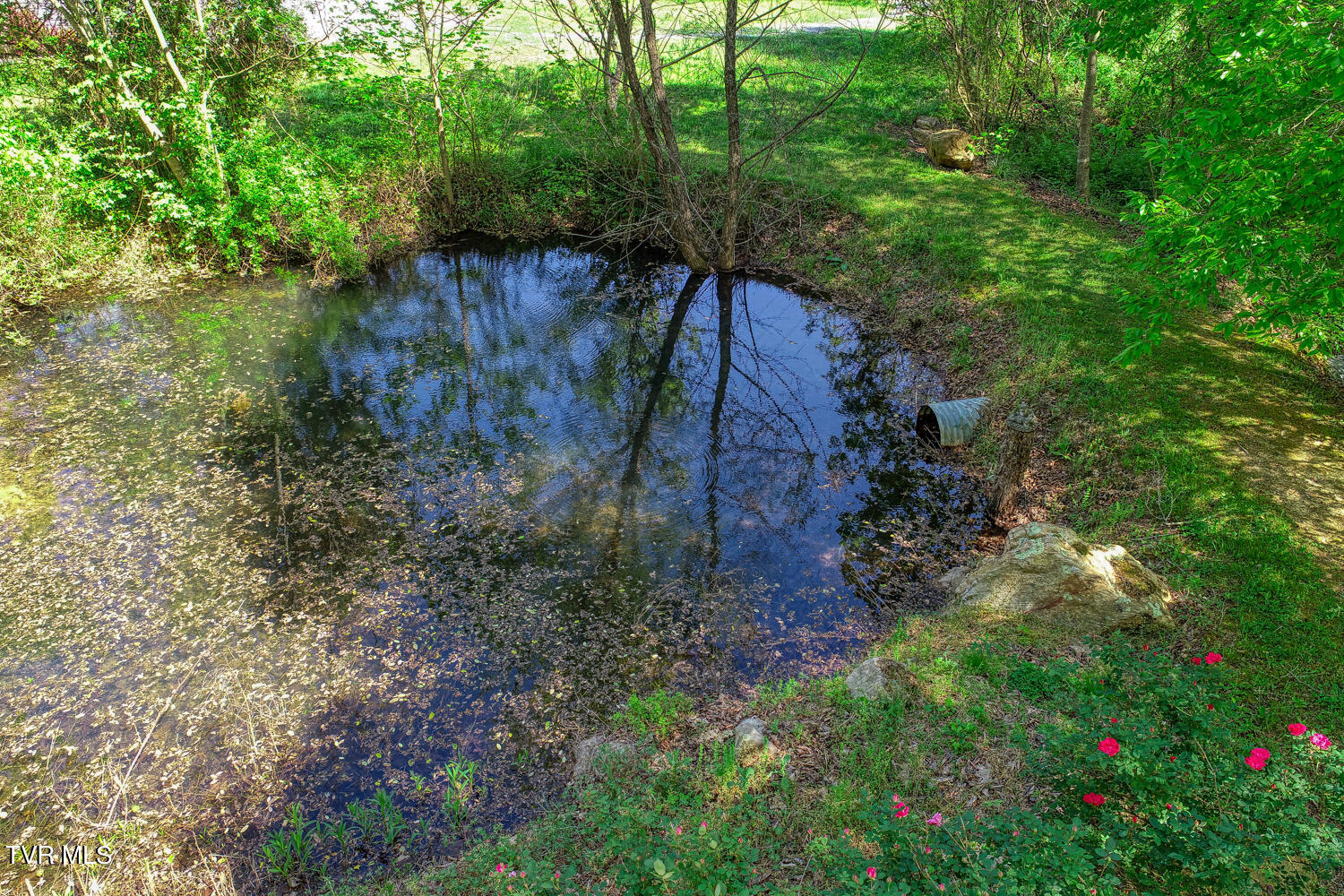 1585 Poor Valley Road