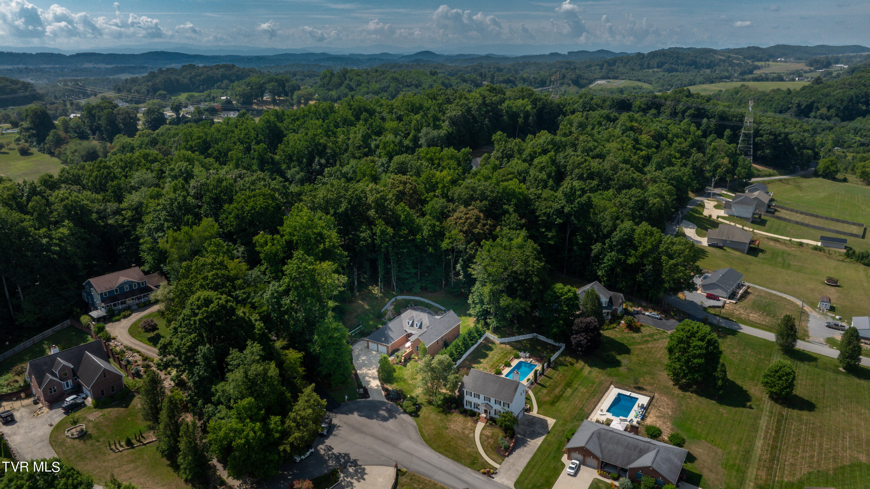 110 Pickens Court