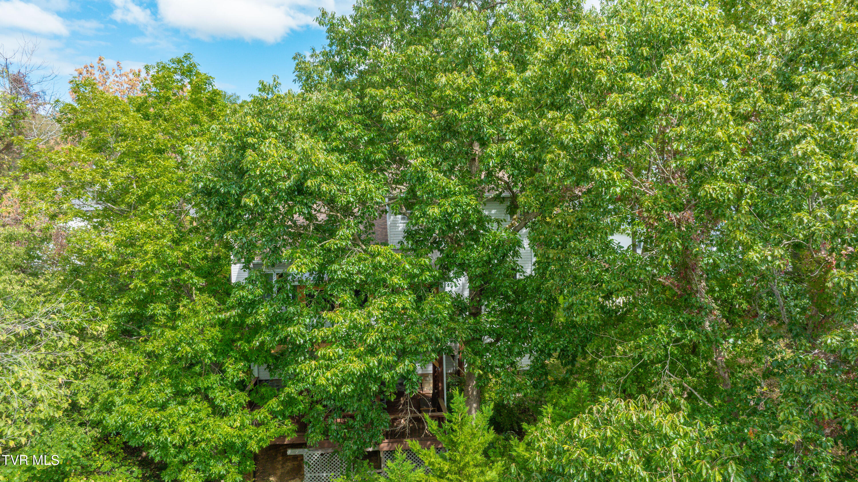 9 Green Valley Court
