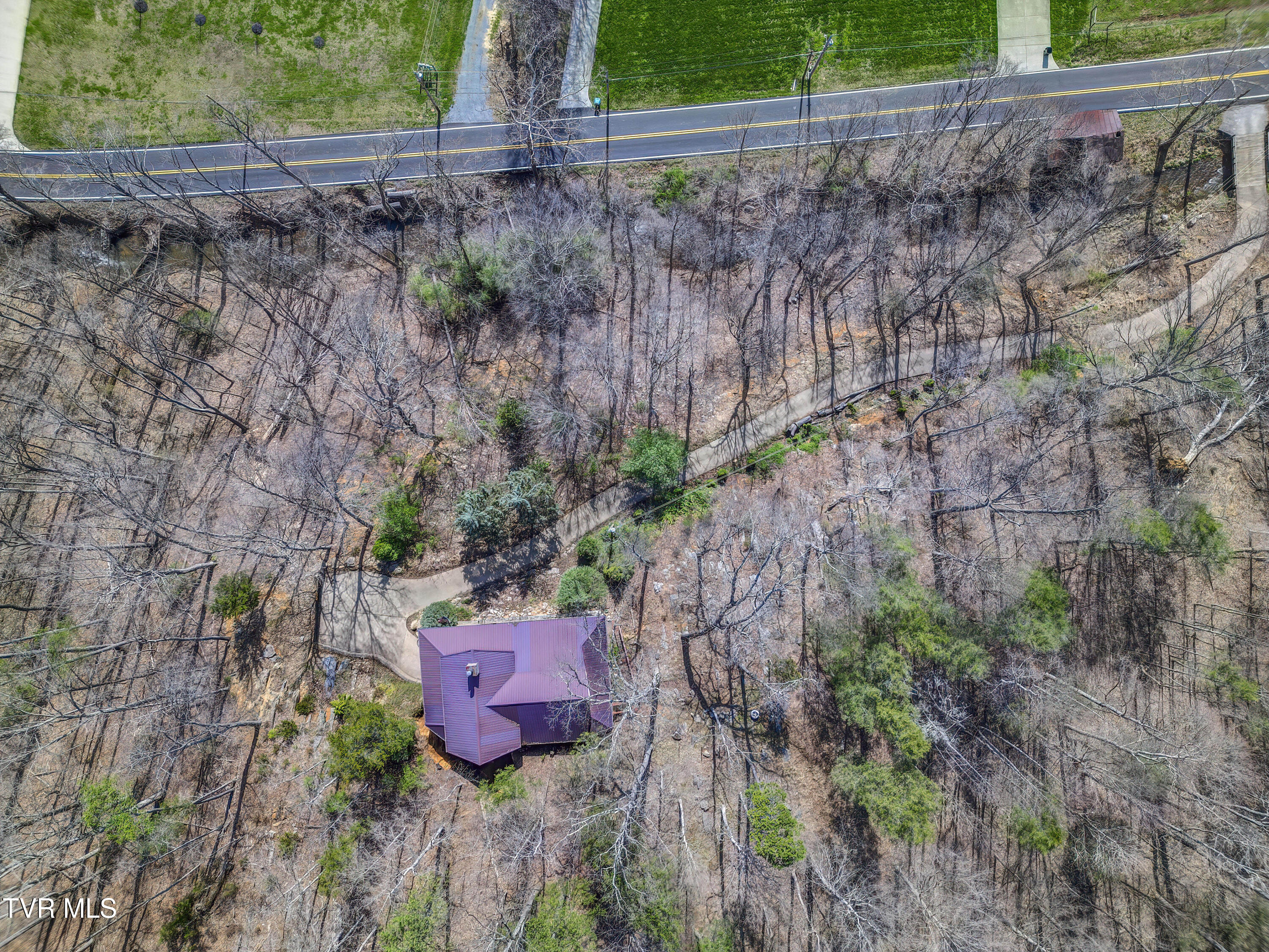 665 Laurels Road