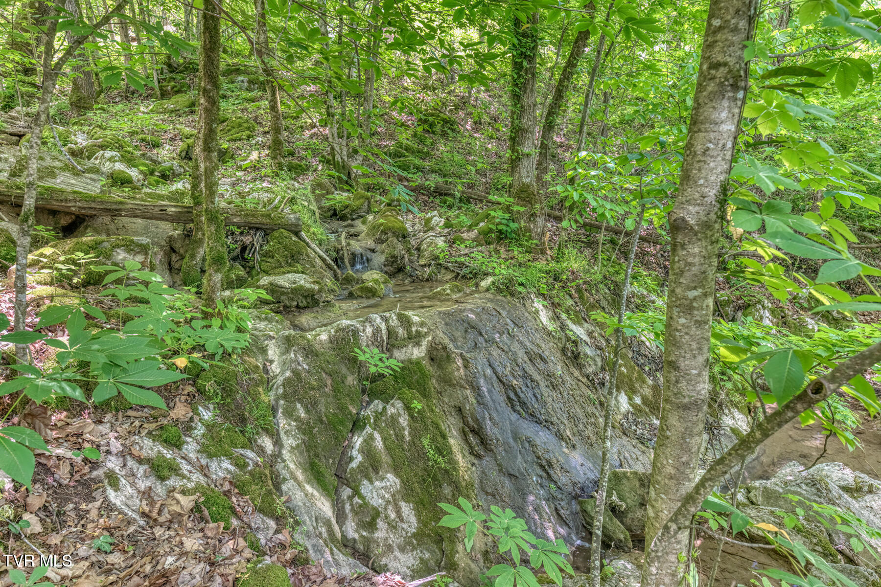 231 Ollis Bowers Hill Road