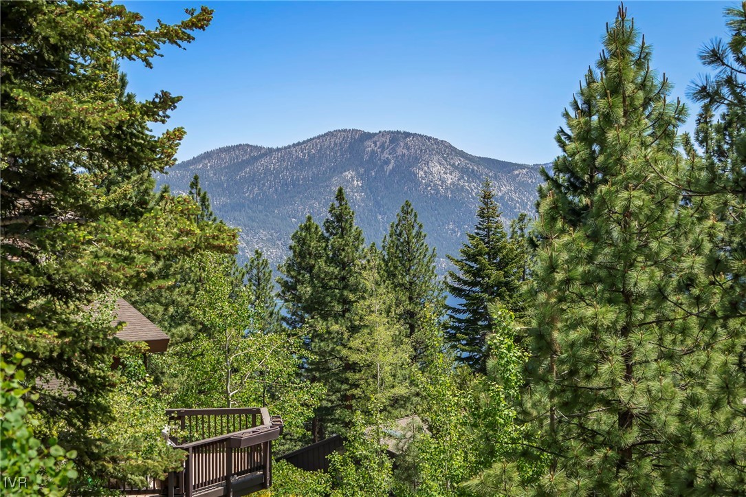 699 Tumbleweed Circle