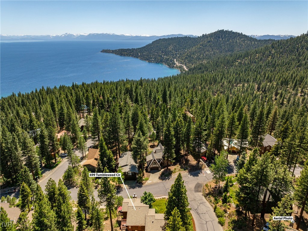 699 Tumbleweed Circle