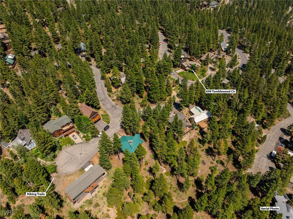 699 Tumbleweed Circle