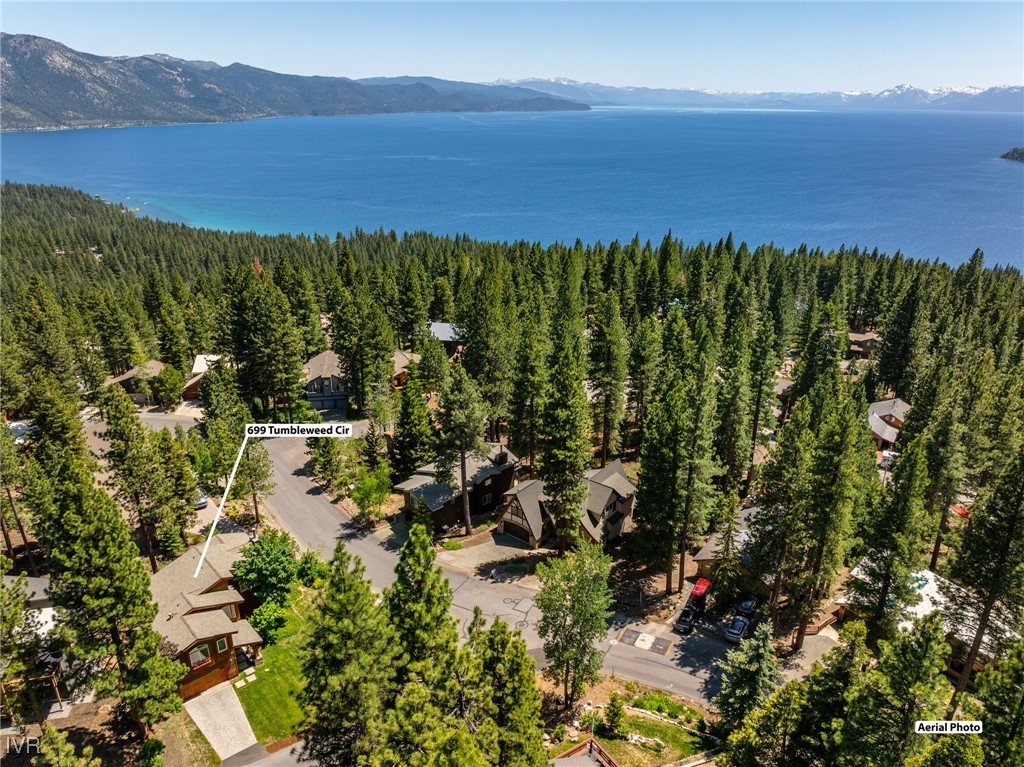 699 Tumbleweed Circle