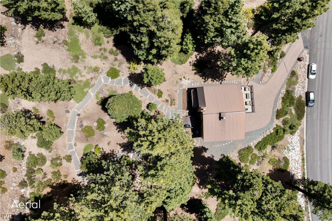 671 Saddlehorn Drive