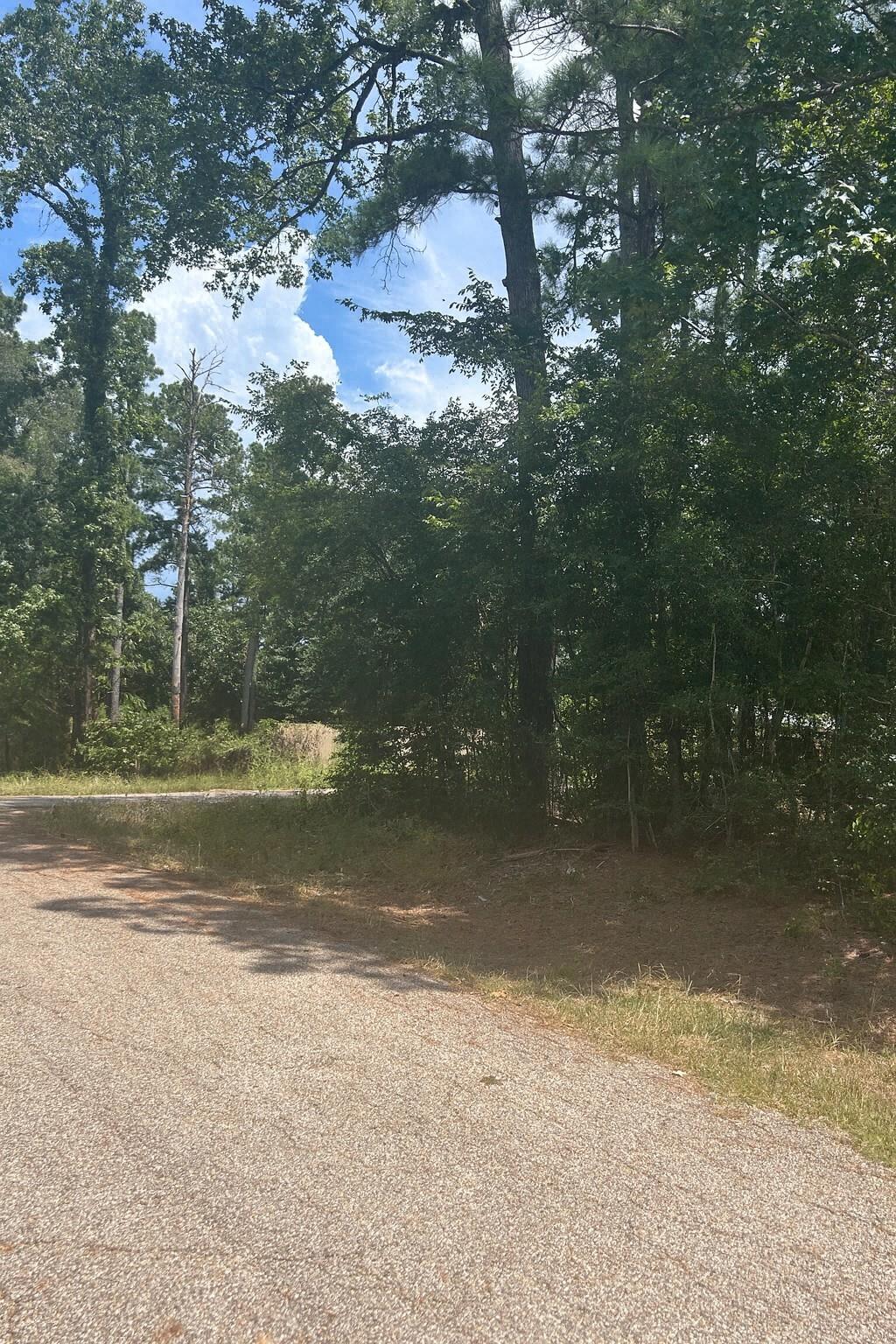 Gravel drive beside a wooded property with mature trees and a grassy clearing.