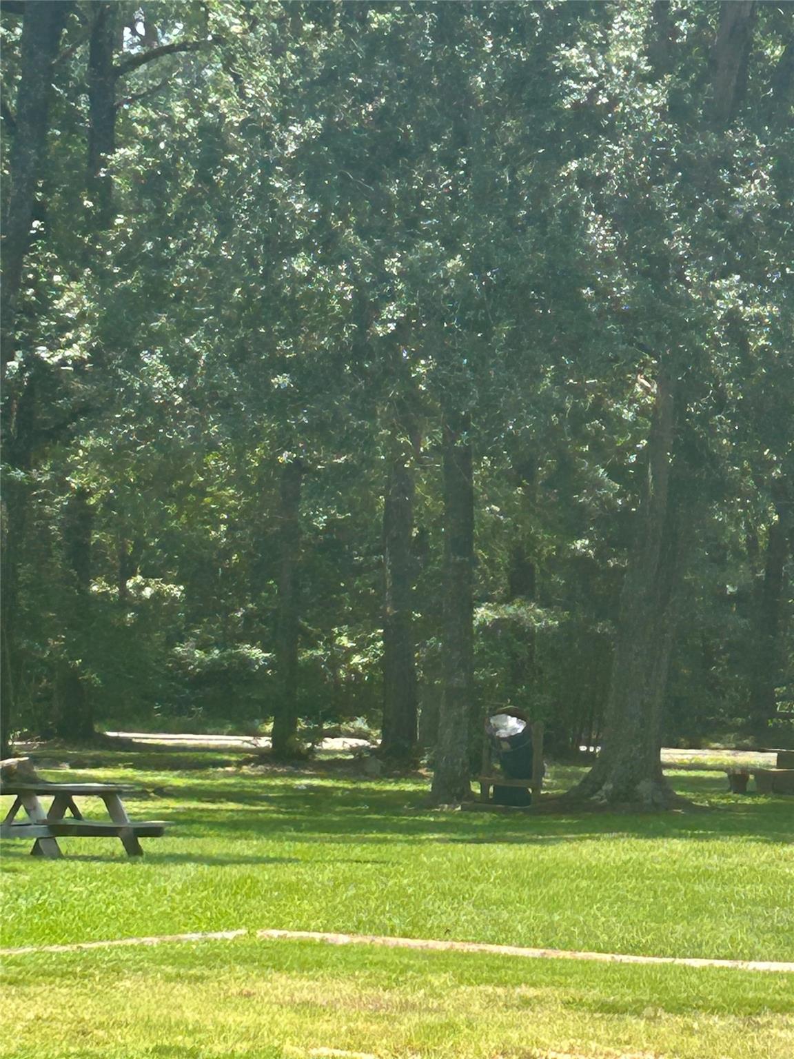 Wooded lawn with mature trees, a picnic table, and a paved path.