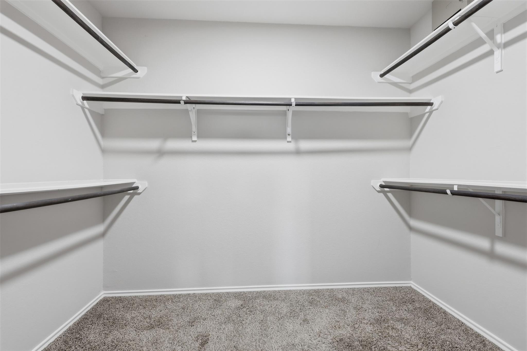 Empty walk-in closet with carpeted floor and wraparound shelving and hanging rods.