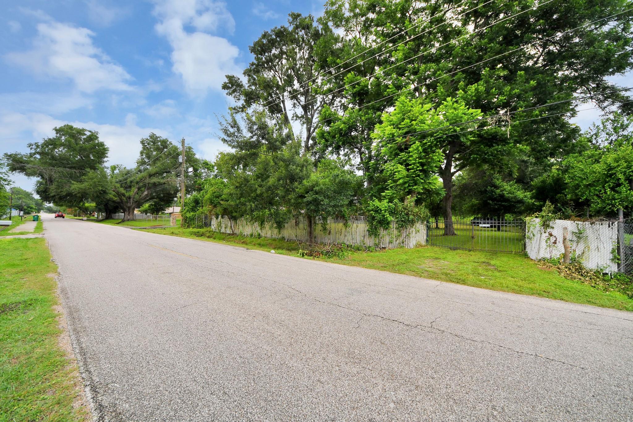 Tree-covered vacant lot beside a paved road, enclosed by a metal fence.