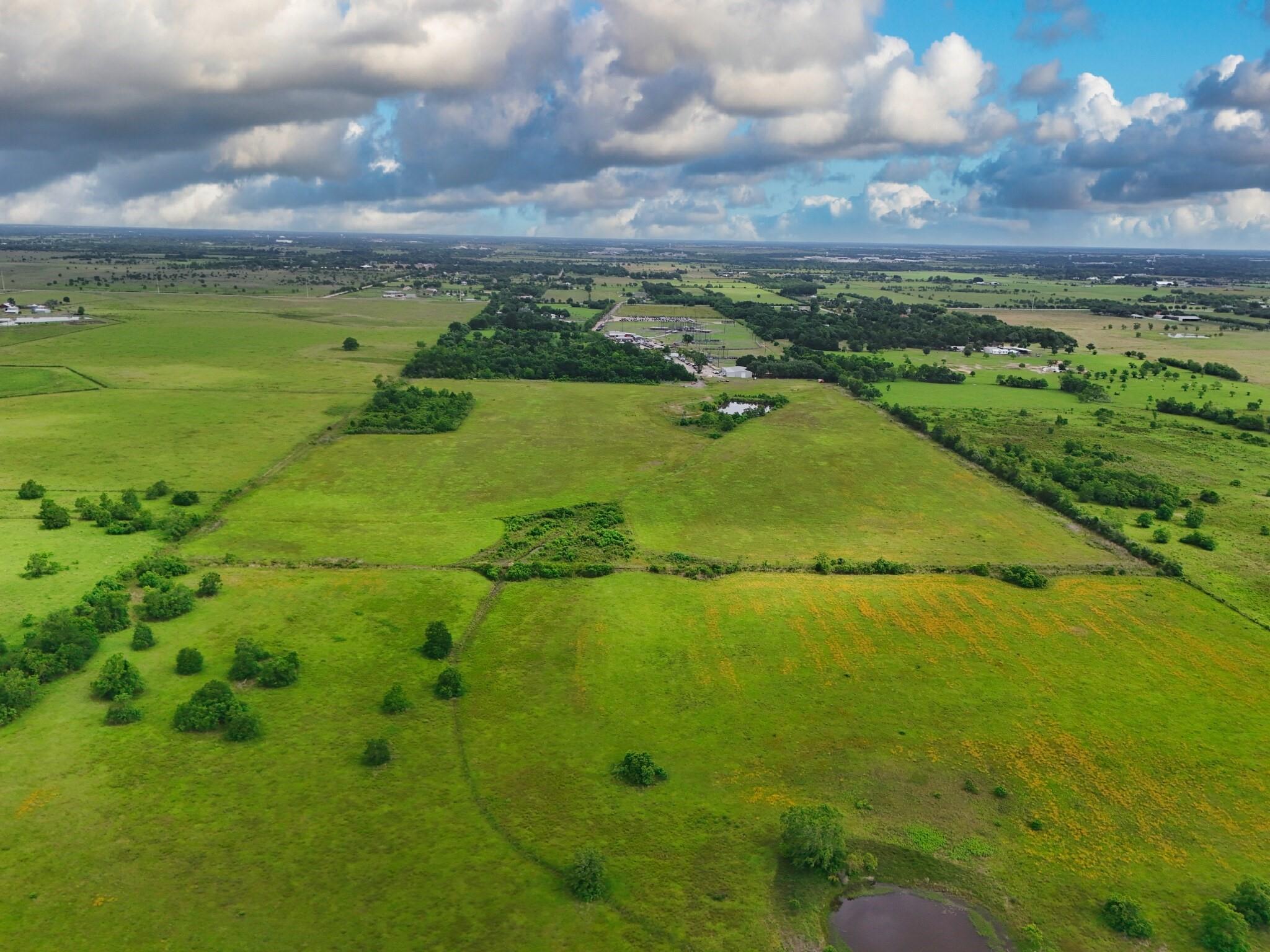 Aerial view of open green pasture with scattered trees and a small pond near the foreground.