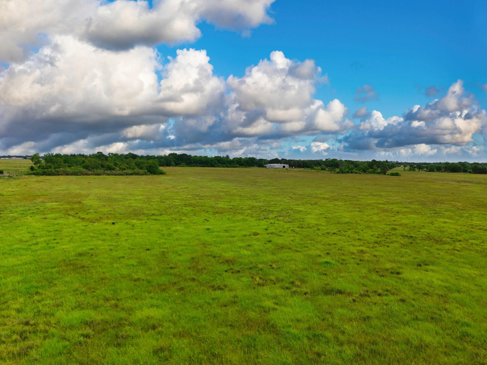 Open grassy pasture stretches toward a distant tree line and small outbuilding beneath a cloud-filled sky.