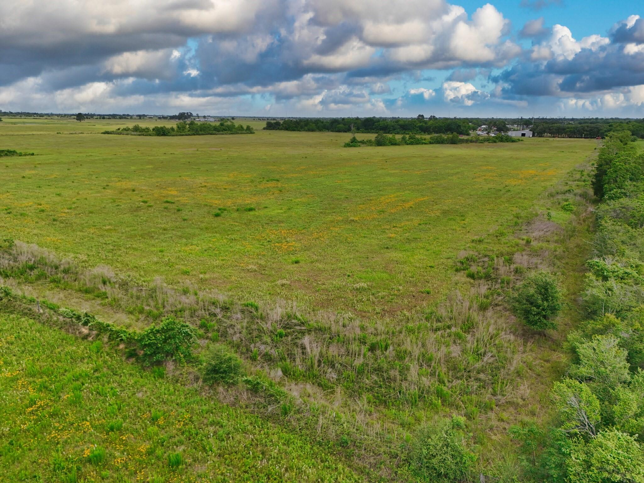 Aerial view of broad grassy acreage bordered by trees beneath a cloud-filled sky.