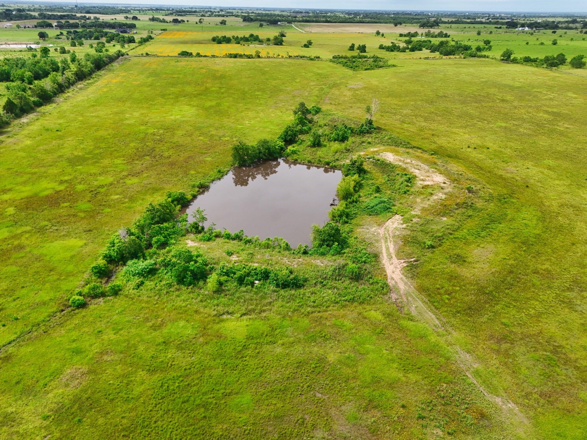 Aerial view of open green pasture with a tree-lined pond and dirt track.
