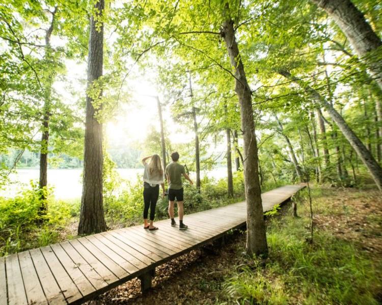 Two people walk on a wooden boardwalk through trees beside a lake.