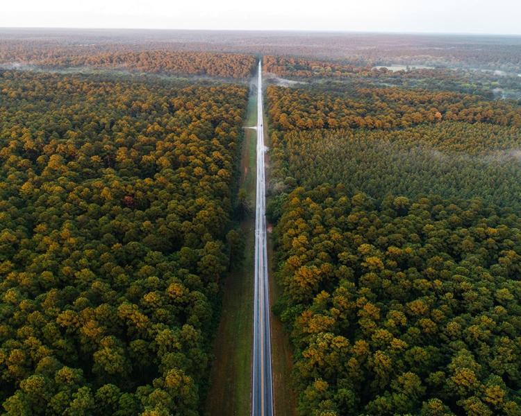Aerial view of a straight road cutting through expansive autumn forest.