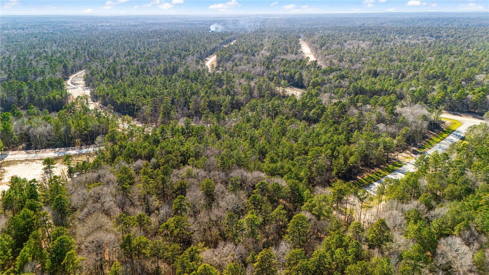 Aerial view of dense woodland crossed by winding dirt roads.