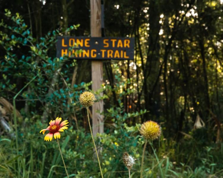 Lone Star Hiking Trail sign among trees and wildflowers.