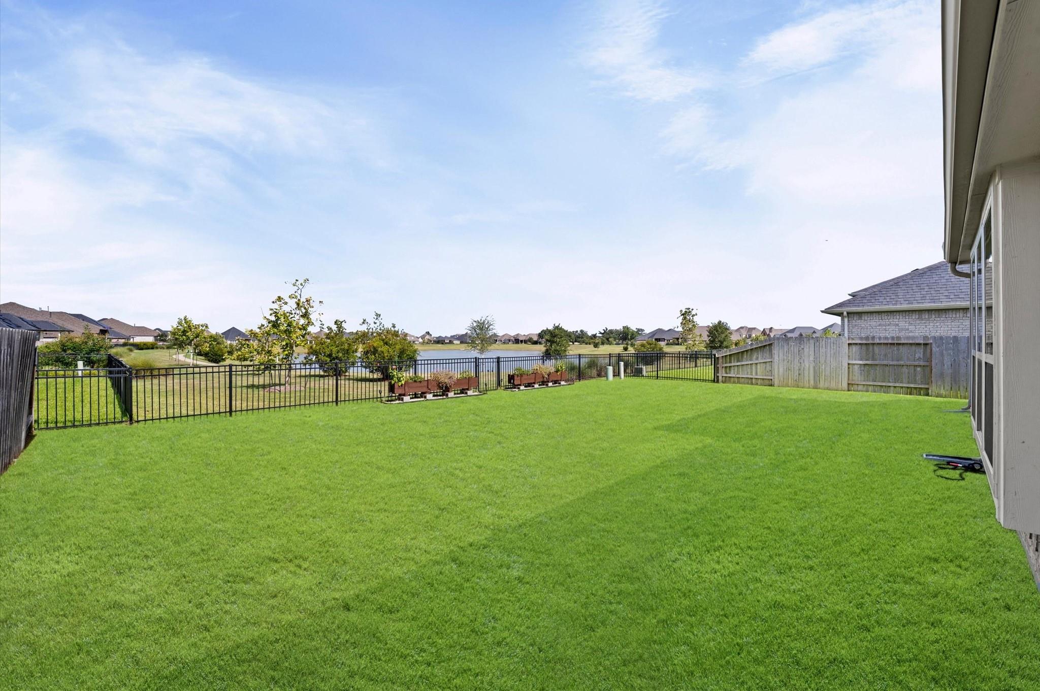 20614 Grazing Foal Lane