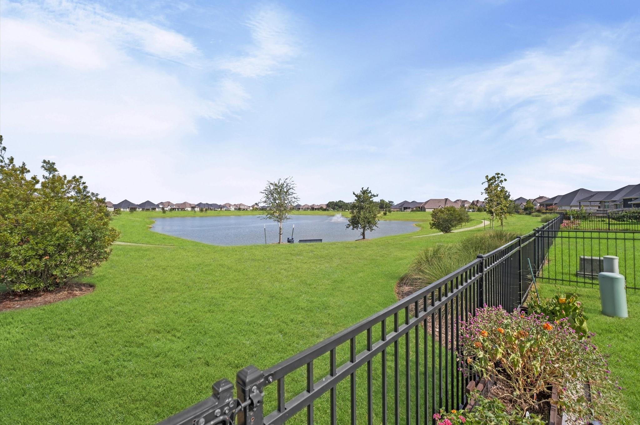 20614 Grazing Foal Lane