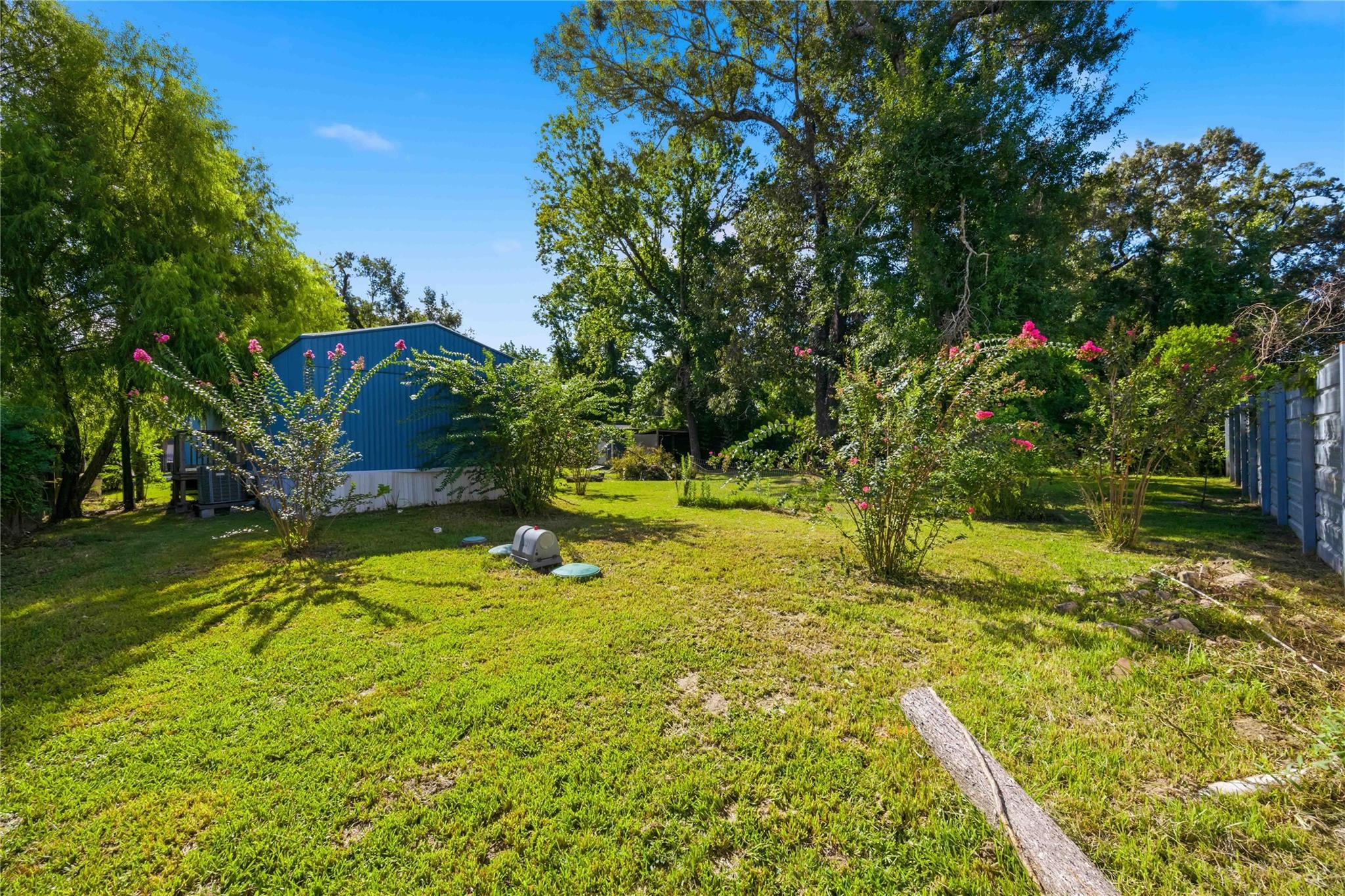 Backyard with a grassy lawn, mature trees, pink flowering shrubs, and a blue-sided home.