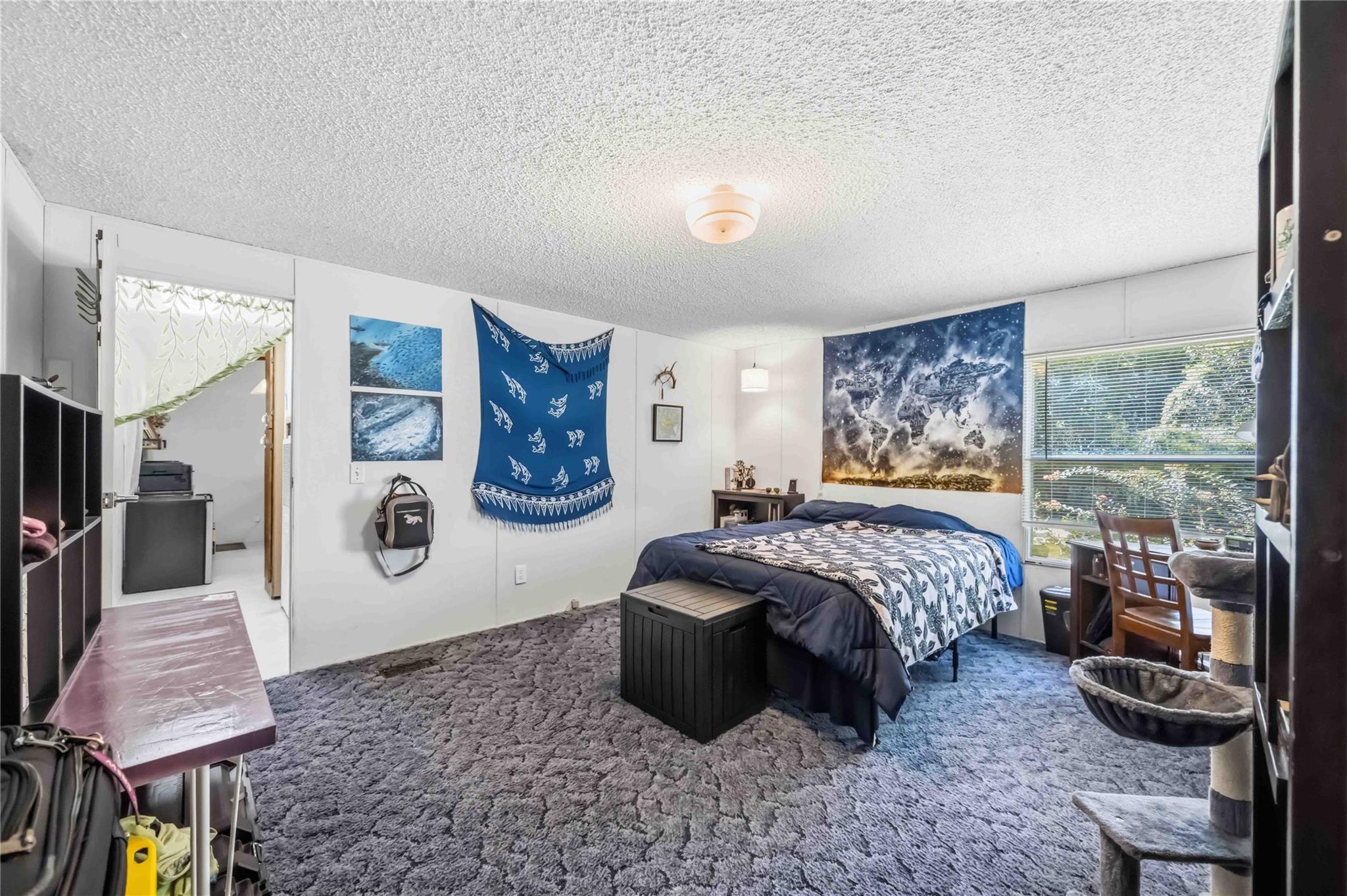 Bedroom with navy bedding, blue wall hangings, a large gray rug, and a cat tree beside the window.