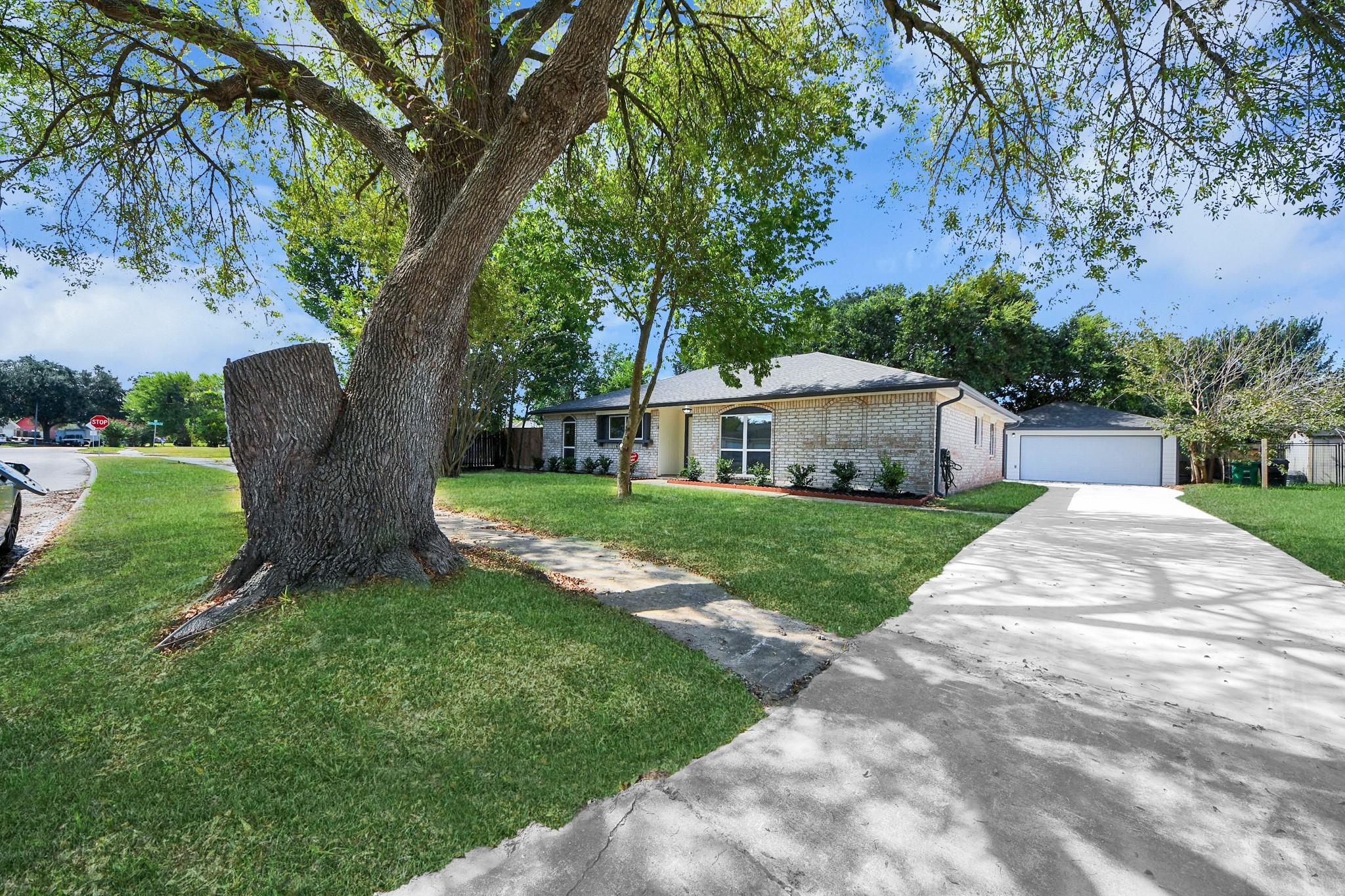 Single-story brick house with a long driveway and a large mature tree in the front yard.