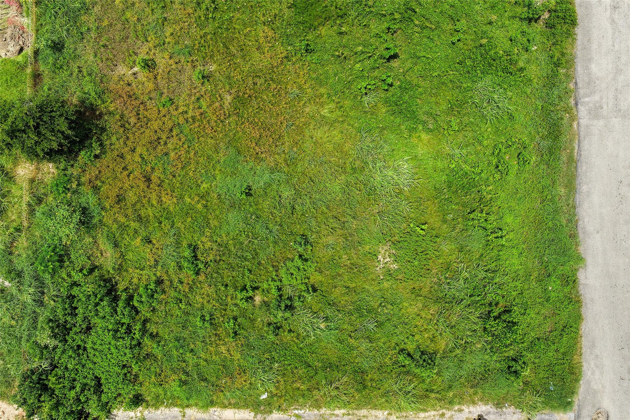 Aerial view of a grassy, overgrown lot bordered by a paved road.