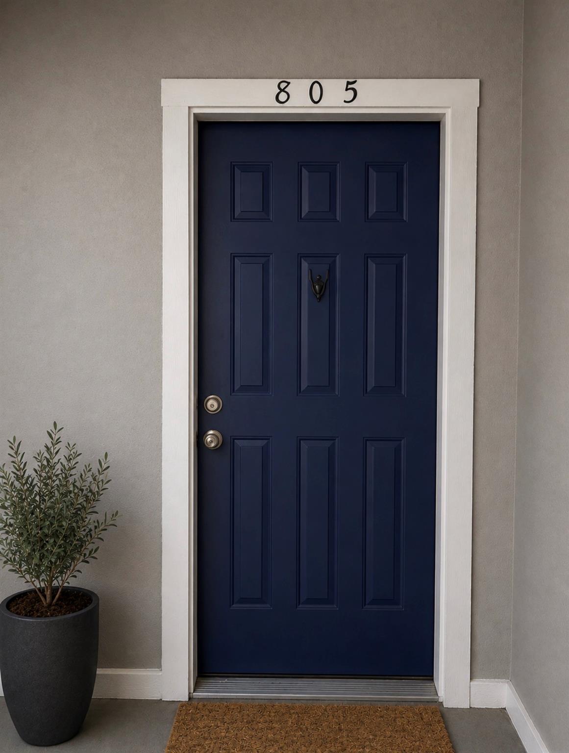 Navy front door marked 805, framed in white trim beside a potted plant.