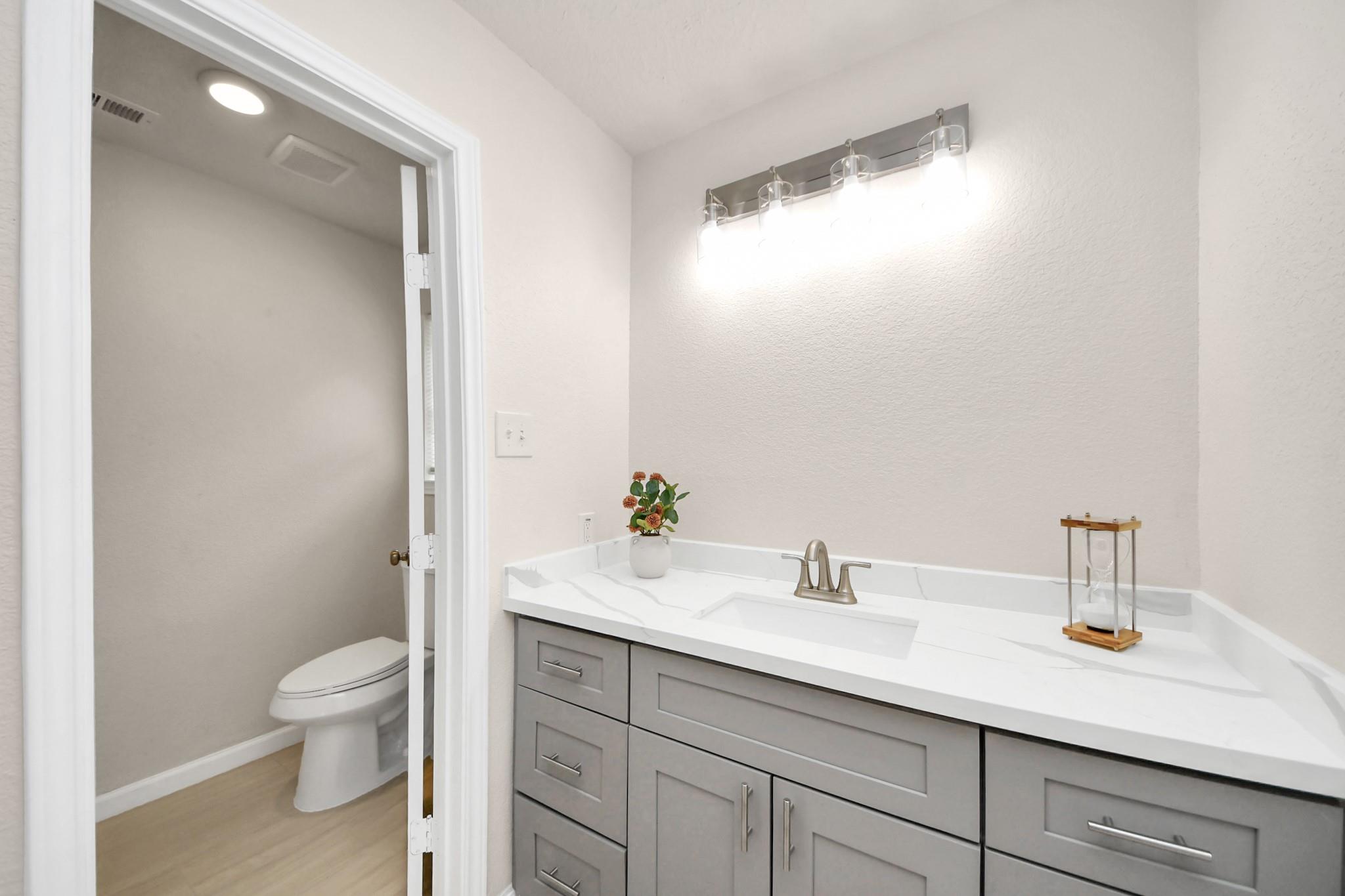 Bathroom with a gray vanity and white sink beside an open doorway to a separate toilet area.