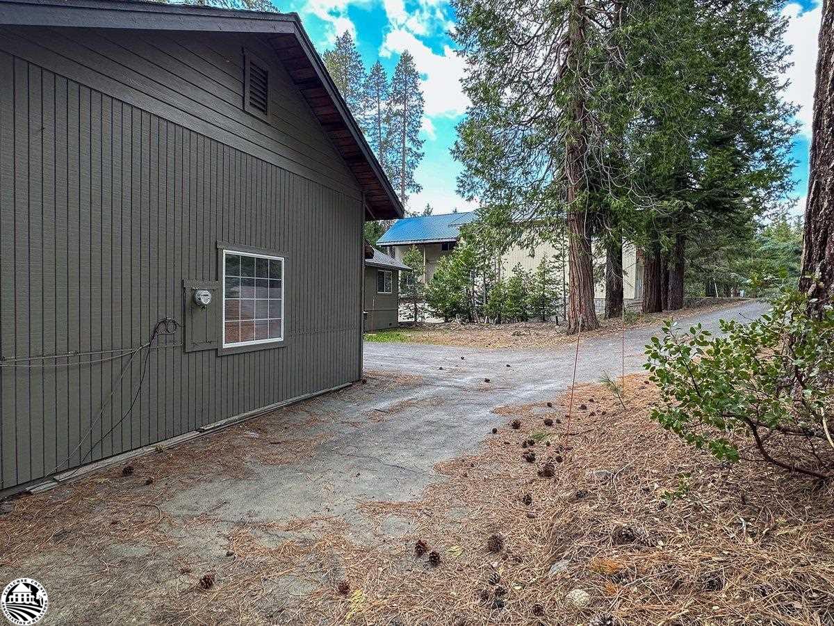 Dark gray wood-sided building beside a paved driveway under tall evergreen trees.
