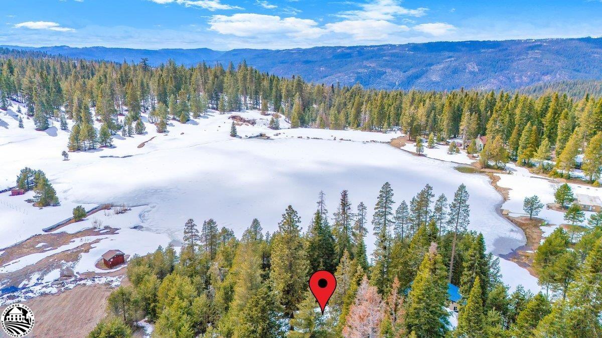 Snow-covered meadow and evergreen forest with mountain ridges; a red location pin marks the wooded foreground.