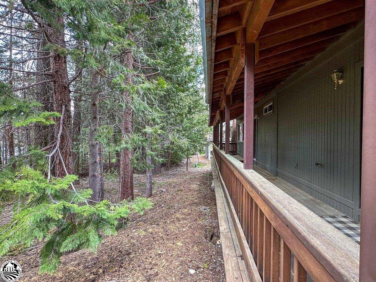 Covered wooden deck beside a house, surrounded by tall evergreen trees.