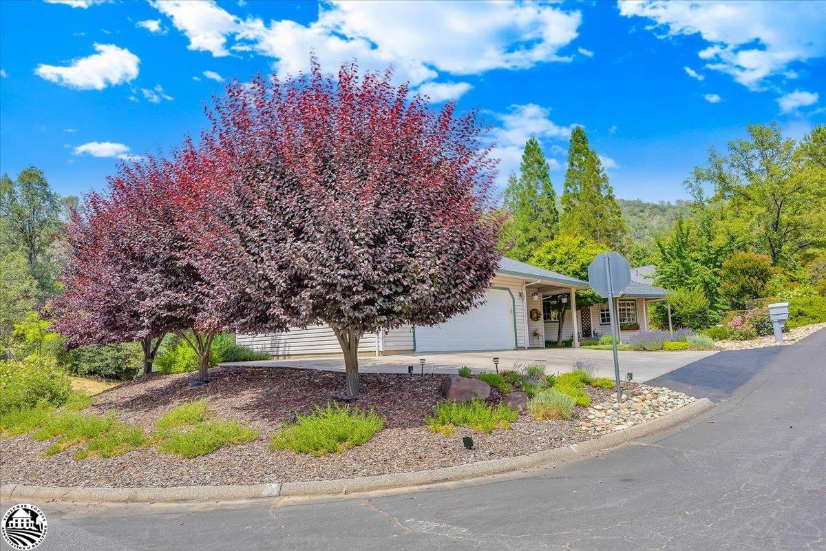 12954 Sunnyhill