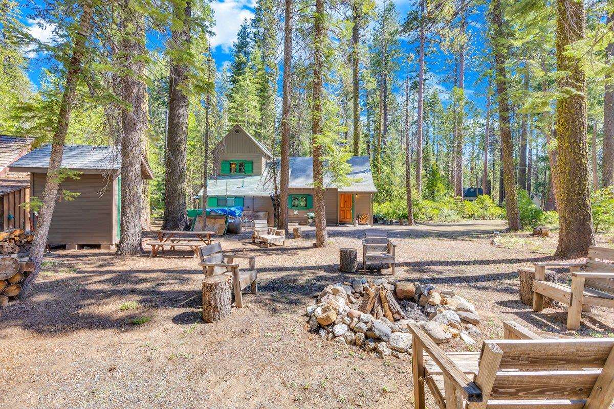 226 Sugar Pine