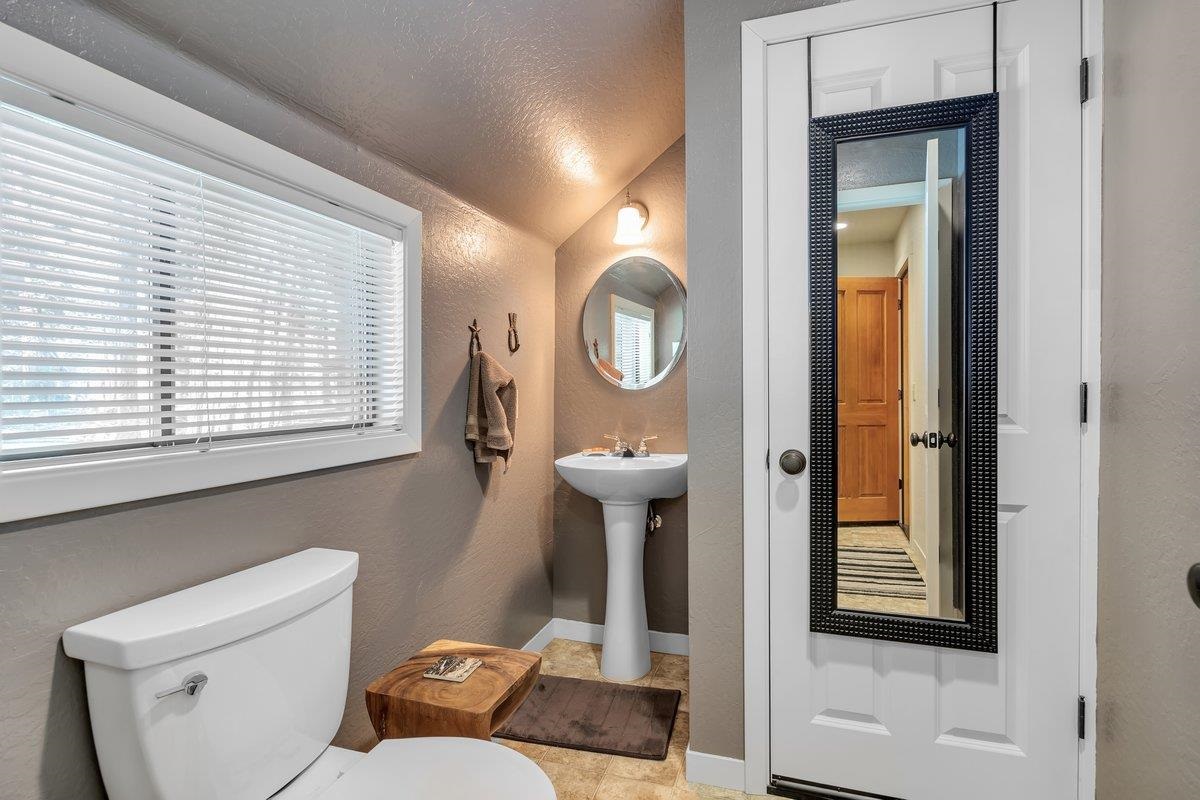 226 Sugar Pine