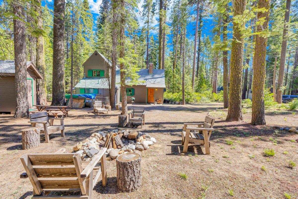 226 Sugar Pine