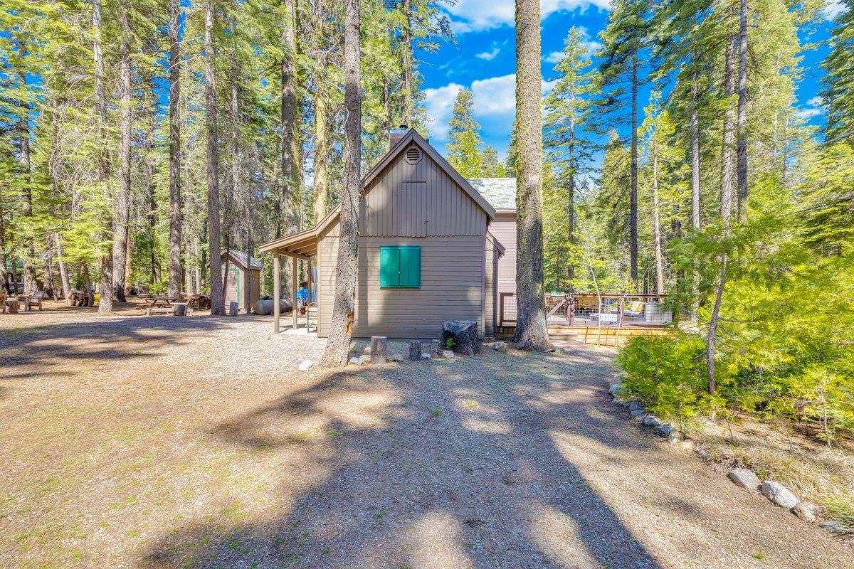 226 Sugar Pine