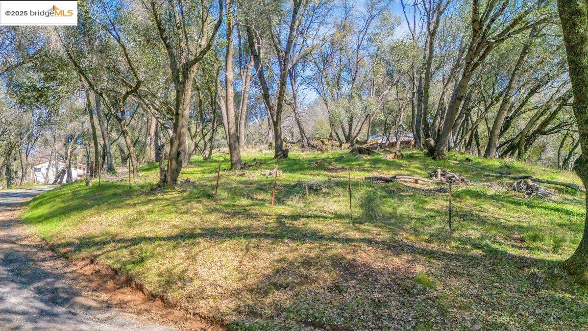 18889 Black Oak Rd
