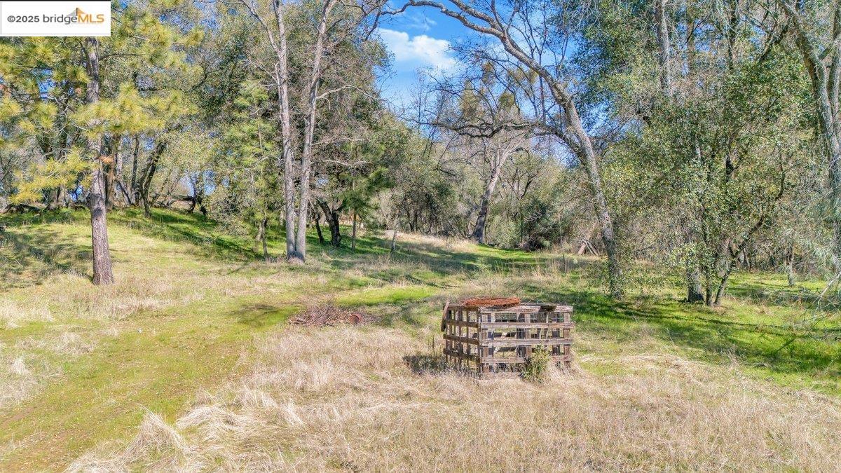 18889 Black Oak Rd