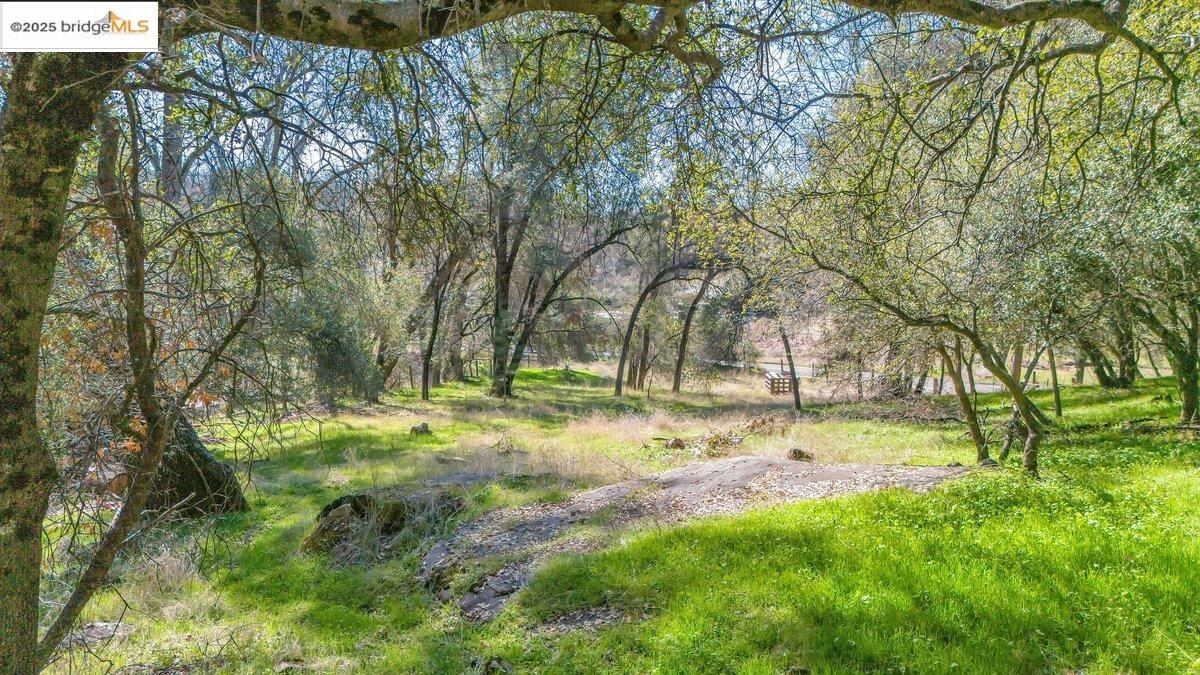 18889 Black Oak Rd