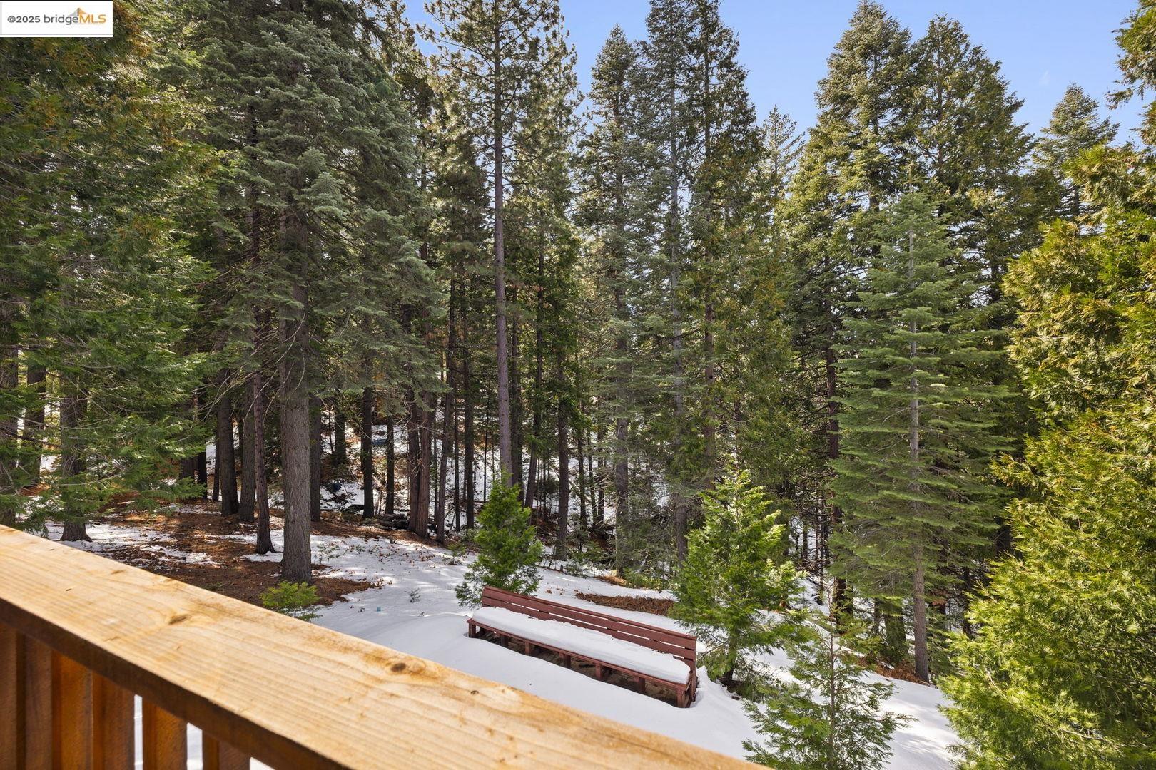 Wooden deck overlooks snow-covered ground, tall evergreens, and a red bench.