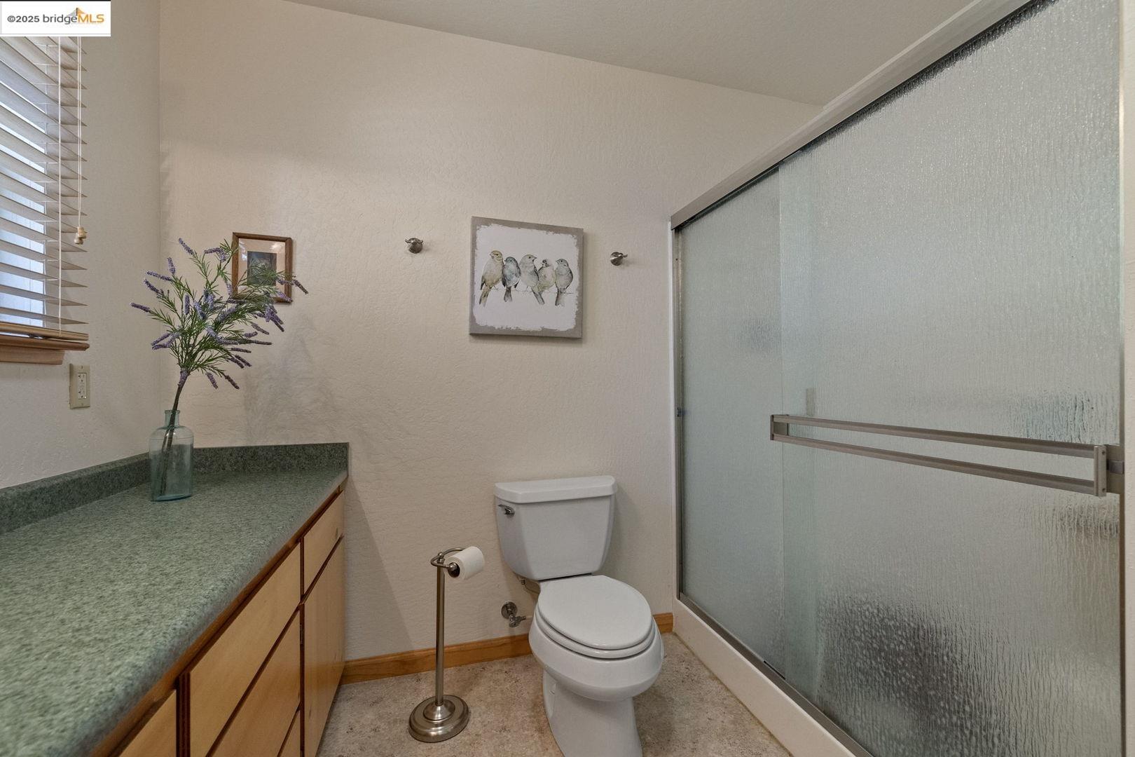Bathroom with frosted-glass shower doors, green countertop vanity, and framed bird artwork.