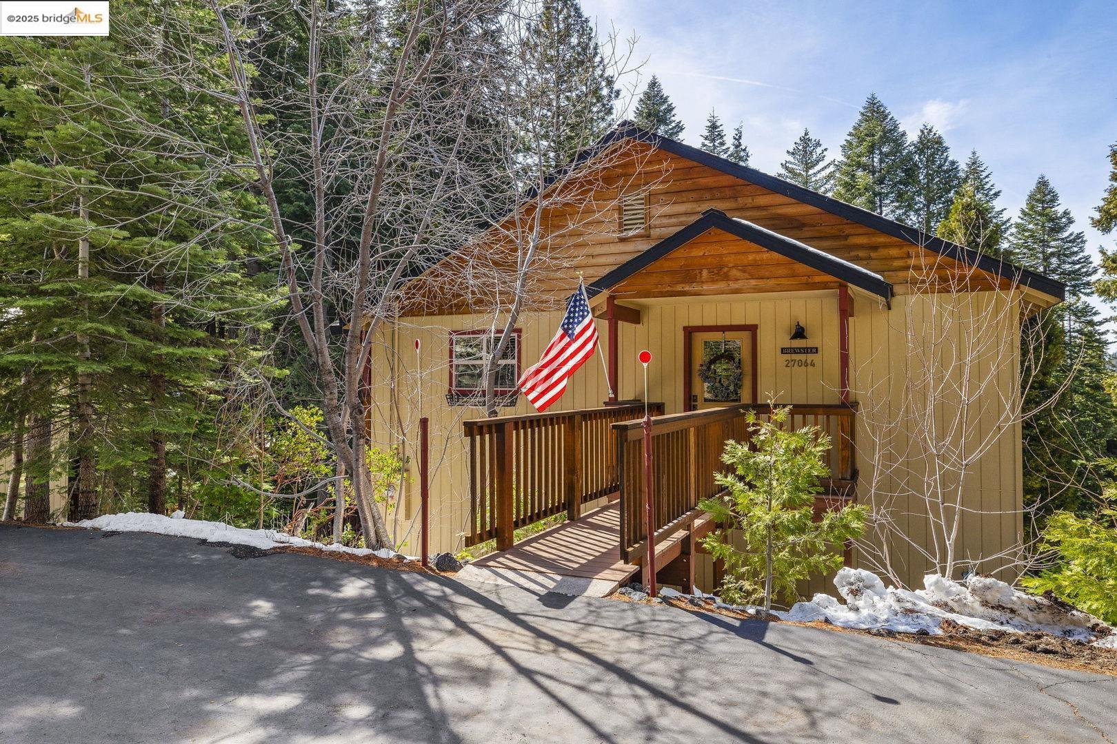 Wood-sided cabin with a covered entrance, wooden ramp, American flag, and evergreen forest setting.