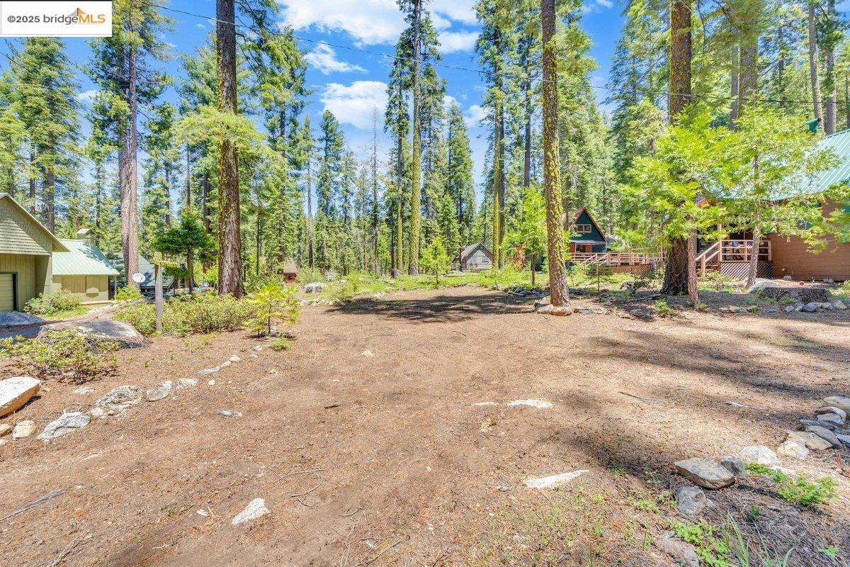 39 Cow Creek