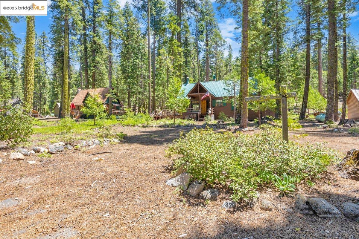 39 Cow Creek