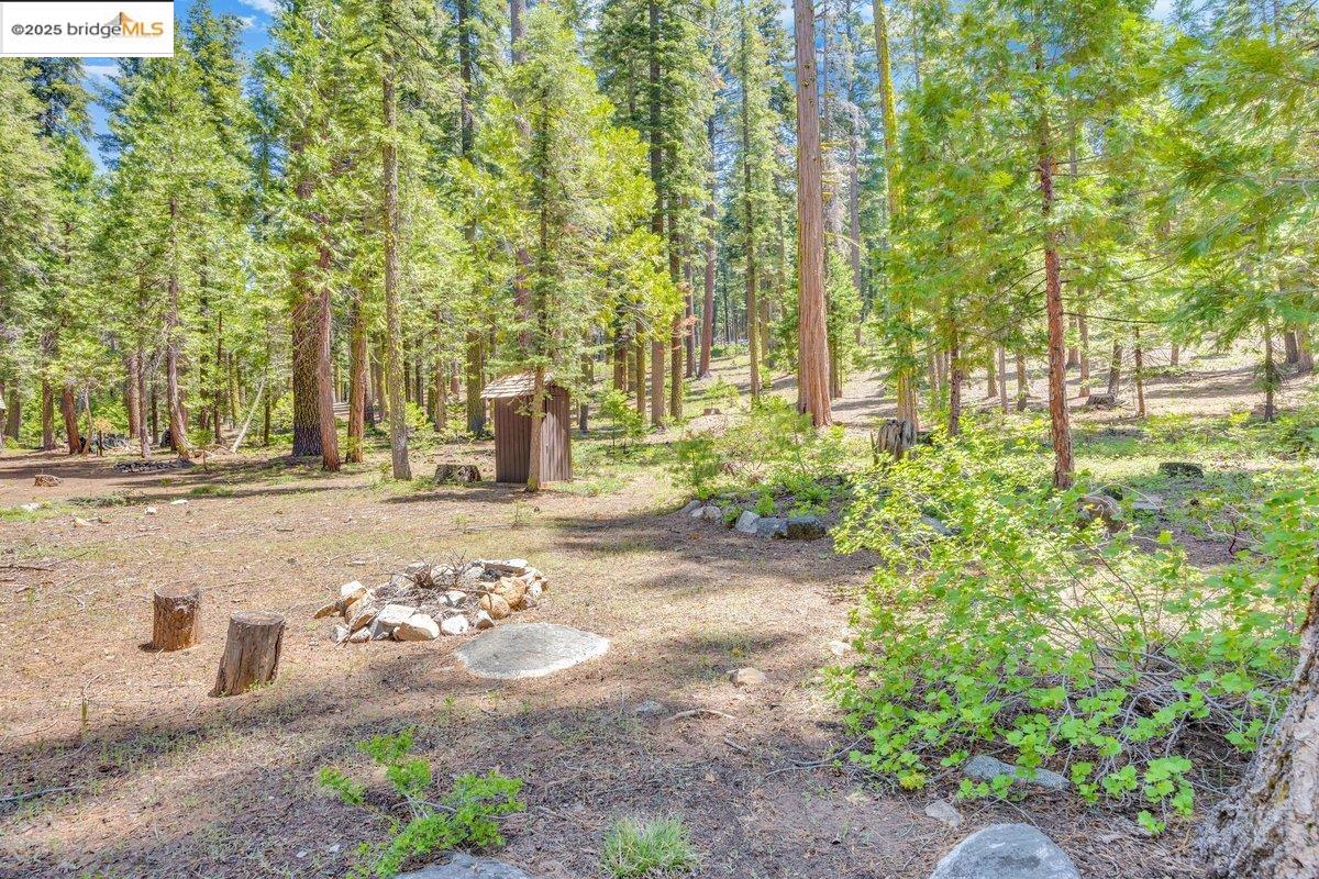 39 Cow Creek