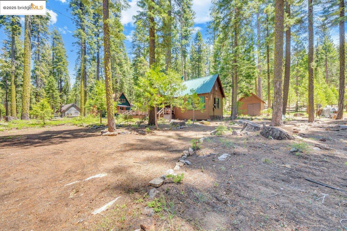 39 Cow Creek